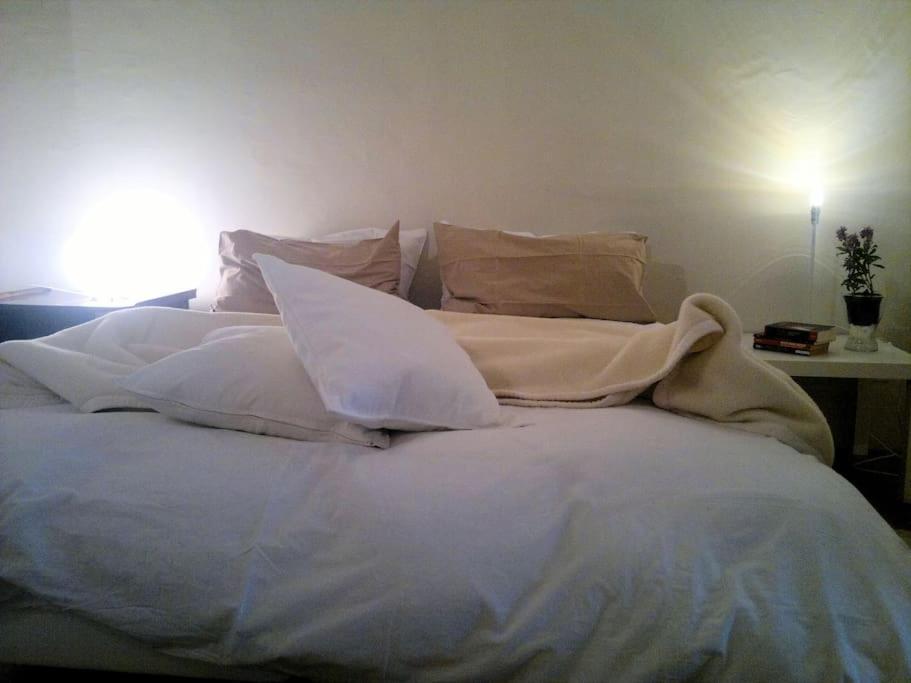 Appartamento Loft Centro Ingresso Indipendente Giardino Privato Catania
