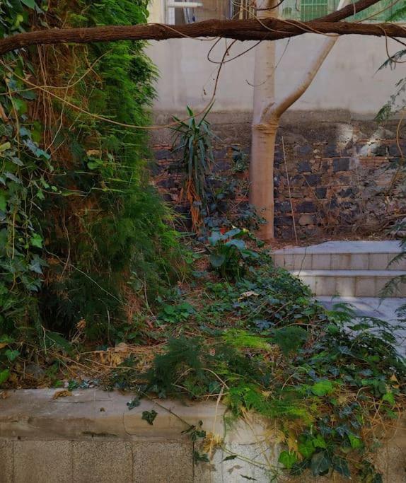 Loft Centro Ingresso Indipendente Giardino Privato Appartamento