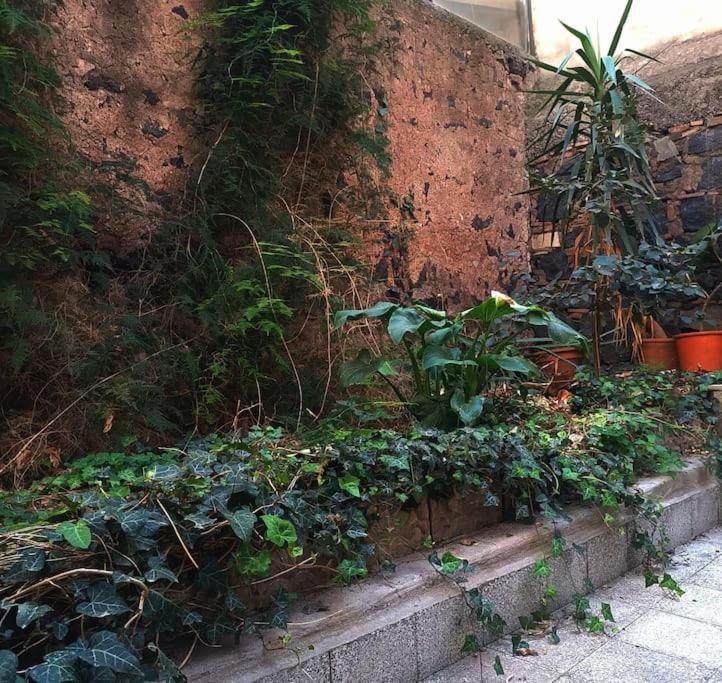 Loft Centro Ingresso Indipendente Giardino Privato * CTA